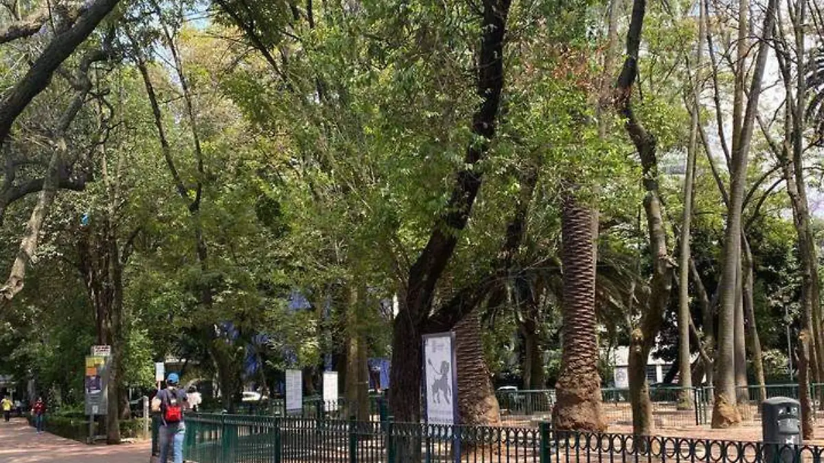 Exigen vecinos que el Parque México sea un espacio de recreación, no un mercado-int2